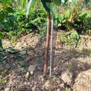 Tree guard sleeve D14 HT50