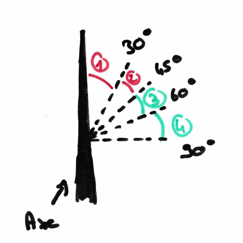 How to Prune a Fruit Tree Training Pruning Vigor Branch Angle