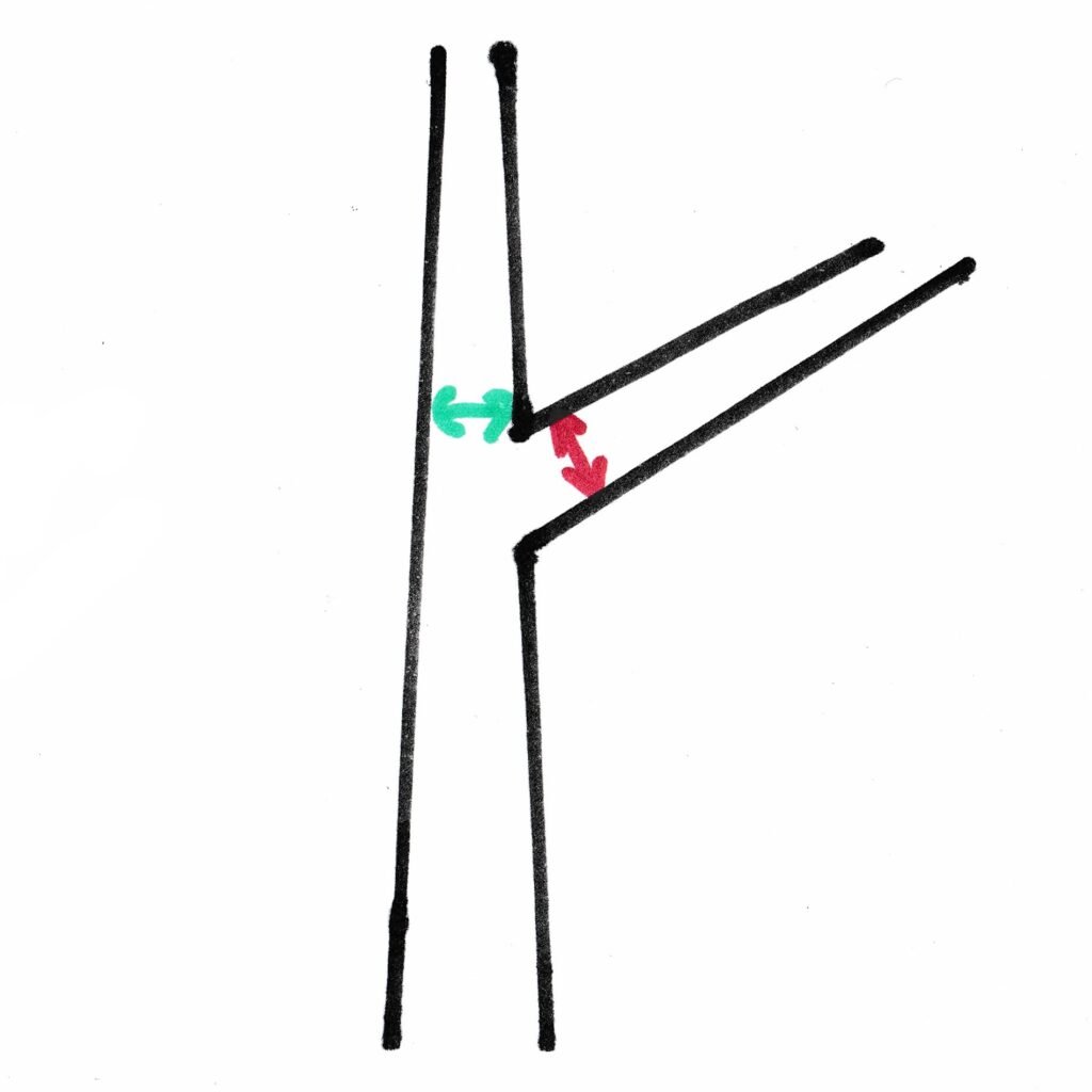 How to Prune a Fruit Tree Training Pruning Vigor Branch Diameter