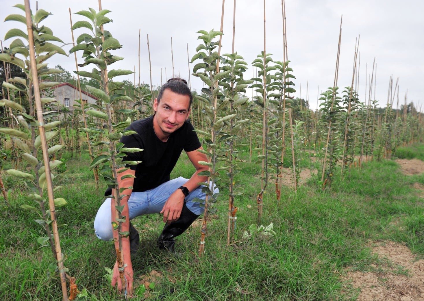 AGEN Nursery Vincent Bareyre Terra'Terre Nursery