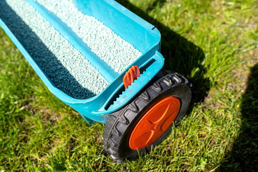 chemical fertilizer which fertilizer for fruit tree