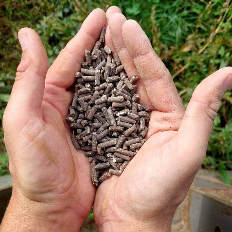 organic fertilizer which fertilizer for fruit tree