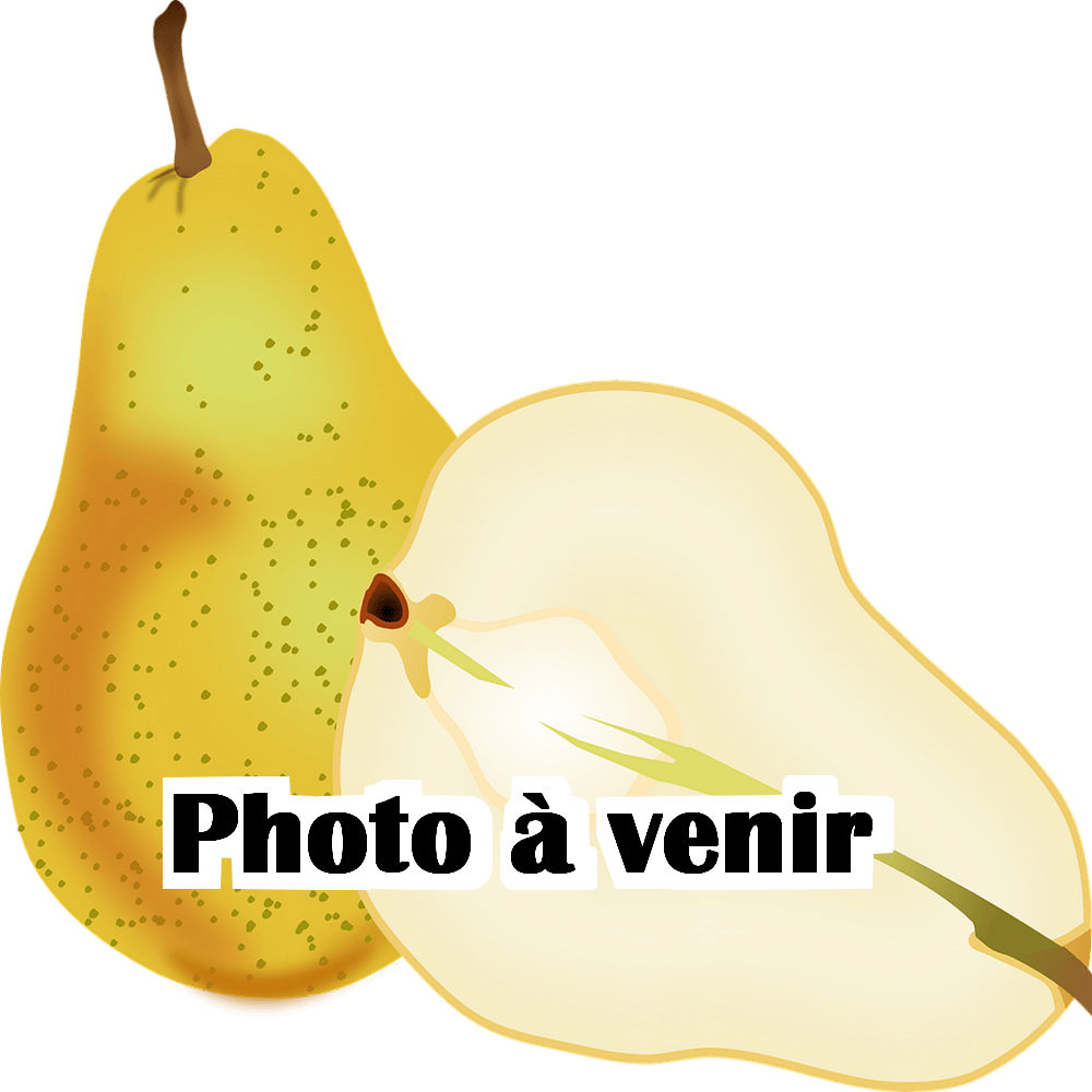 Poirier photo ร venir